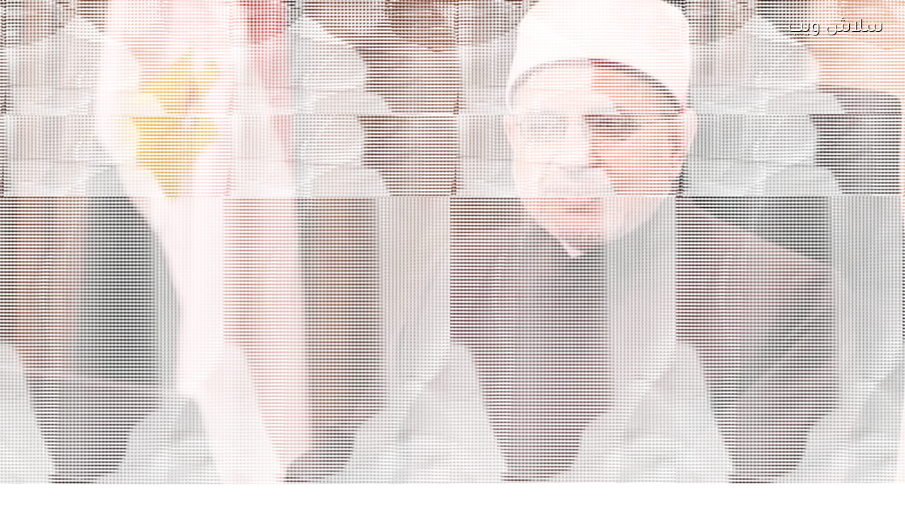 الحكومة تعلن عن زيادة جديدة في أسعار السلع الأساسية وتحديد آليات جديدة للتطبيق