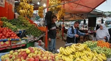 أسعار 3 سلع ضرورية تهبط 30% في مصر
