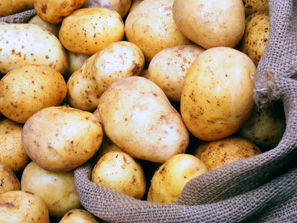 مفاجأة.. مبادرة الأسعار تنقذ البطاطس من الارتفاع