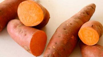 فوائد البطاطا للصحة… تعرف عليها