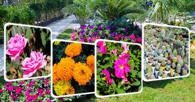 أخبار مصر: ثلاثة وزراء يطلقون فعاليات معرض زهور الربيع بالمتحف الزراعي