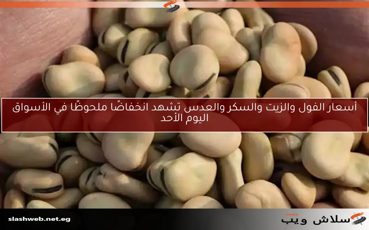 أسعار الفول والزيت والسكر والعدس تشهد انخفاضًا ملحوظًا في الأسواق اليوم الأحد