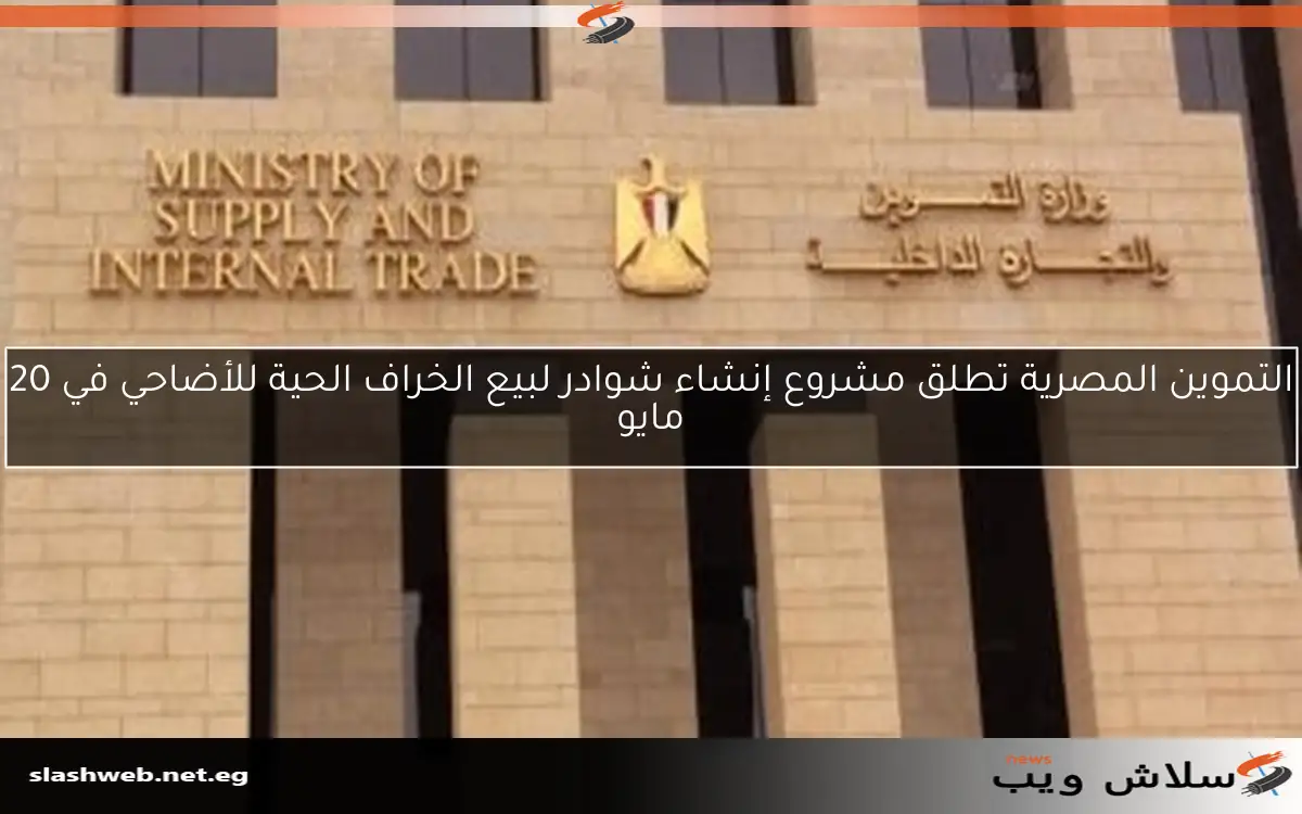 التموين المصرية تطلق مشروع إنشاء شوادر لبيع الخراف الحية للأضاحي في 20 مايو