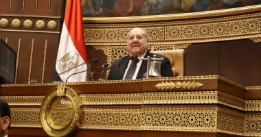 انطلاق الجلسة العامة لمجلس الشيوخ لبحث قضايا الأمن السيبراني