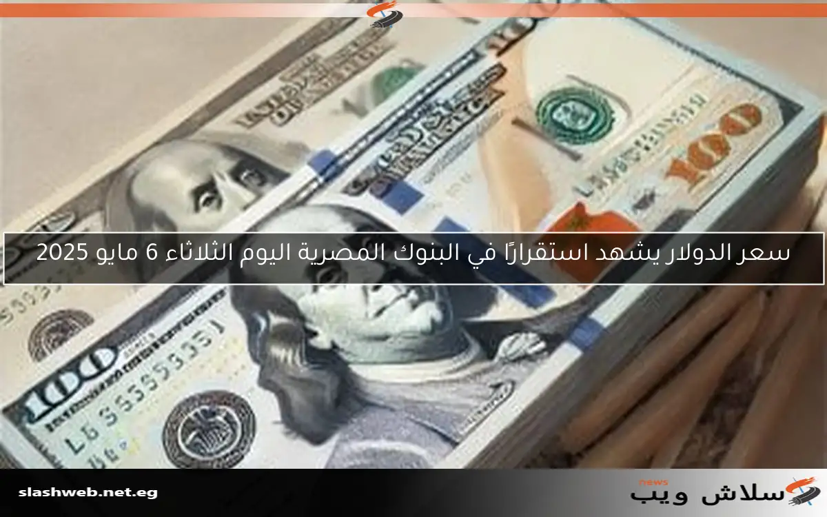 سعر الدولار يشهد استقرارًا في البنوك المصرية اليوم الثلاثاء 6 مايو 2025