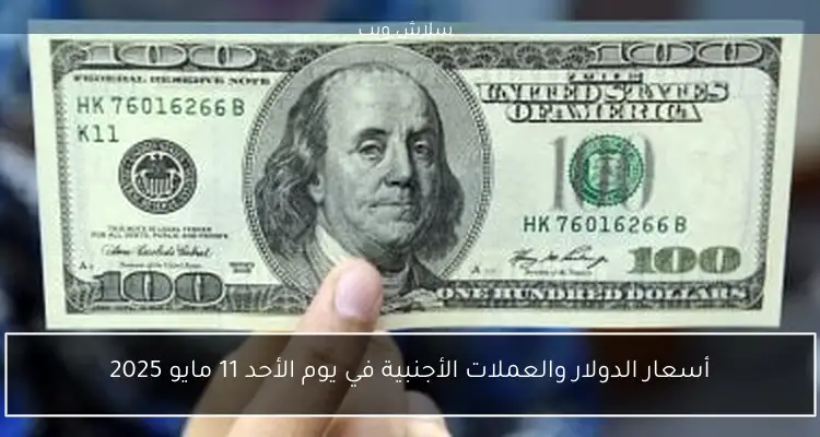 أسعار الدولار والعملات الأجنبية في يوم الأحد 11 مايو 2025