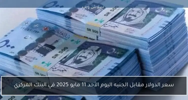 سعر الدولار مقابل الجنيه اليوم الأحد 11 مايو 2025 في البنك المركزي
