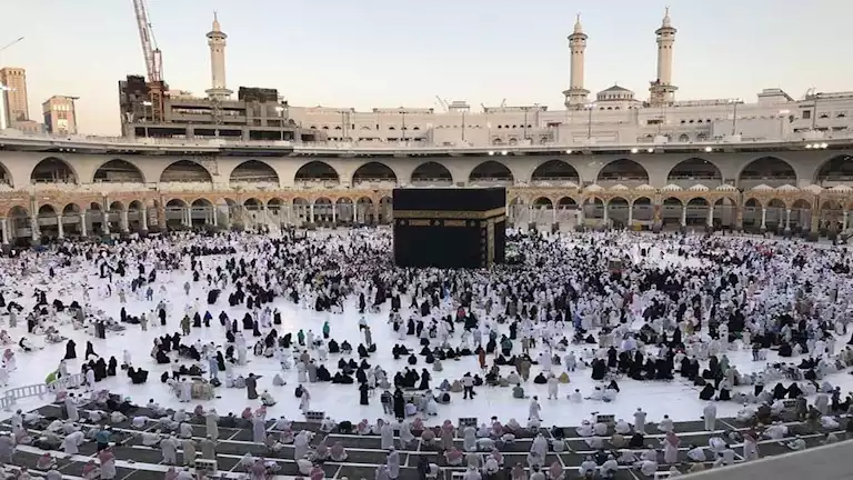904 آلاف معتمر مصري في موسم العمرة 1446هـ بفضل تنظيم 800 شركة سياحة