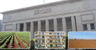 النقض تؤكد على 4 مبادئ قانونية حول قوة الصور الضوئية.. برلماني