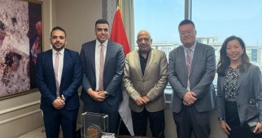 وزير الكهرباء يناقش مع شركة "سانجرو" الصينية التعاون في تصنيع معدات الطاقة المتجددة