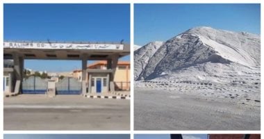 شركات وزارة قطاع الأعمال العام تواصل دعم مشاريع التنمية في أرض الفيروز