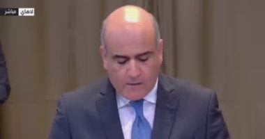 مندوب مصر في محكمة العدل: إسرائيل تمنع الشعب الفلسطيني من حقه في تقرير المصير