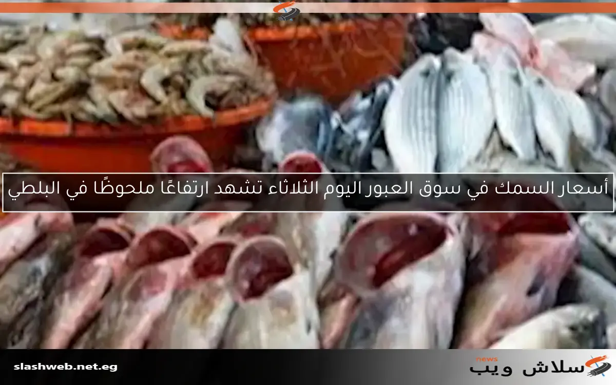 أسعار السمك في سوق العبور اليوم الثلاثاء تشهد ارتفاعًا ملحوظًا في البلطي