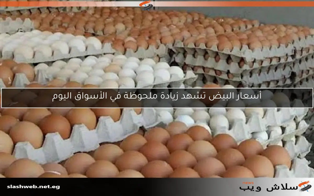 أسعار البيض تشهد زيادة ملحوظة في الأسواق اليوم