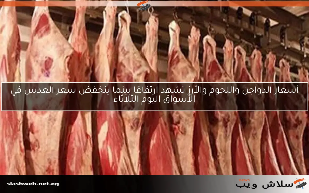 أسعار الدواجن واللحوم والأرز تشهد ارتفاعًا بينما ينخفض سعر العدس في الأسواق اليوم الثلاثاء