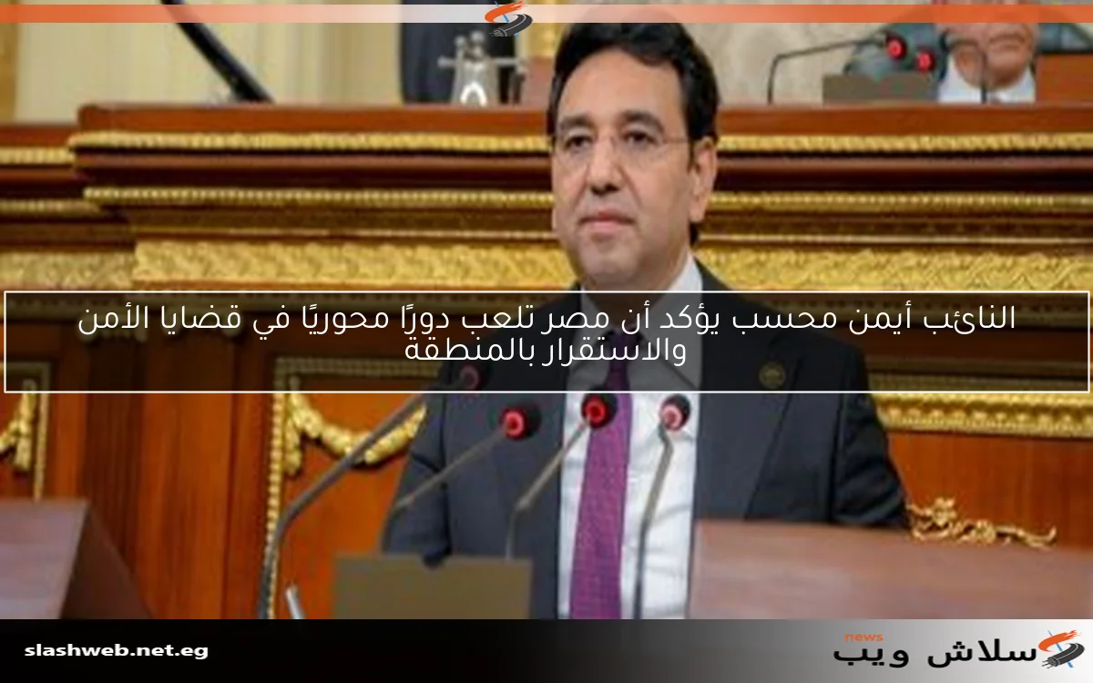 النائب أيمن محسب يؤكد أن مصر تلعب دورًا محوريًا في قضايا الأمن والاستقرار بالمنطقة