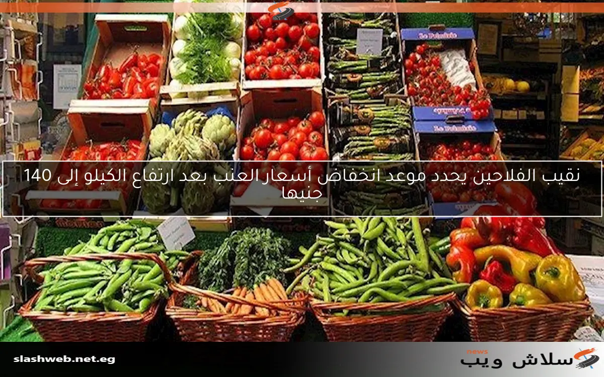 نقيب الفلاحين يحدد موعد انخفاض أسعار العنب بعد ارتفاع الكيلو إلى 140 جنيها