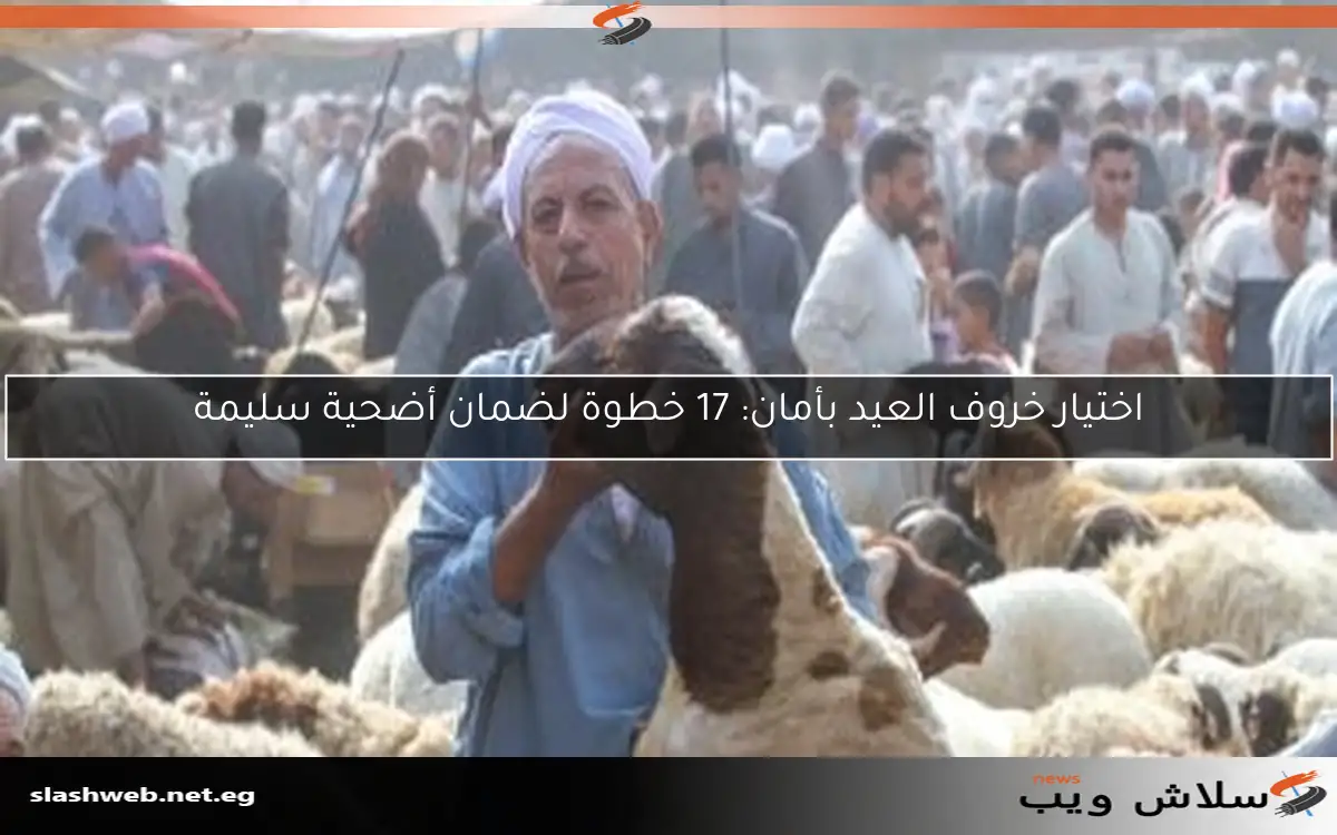 اختيار خروف العيد بأمان: 17 خطوة لضمان أضحية سليمة