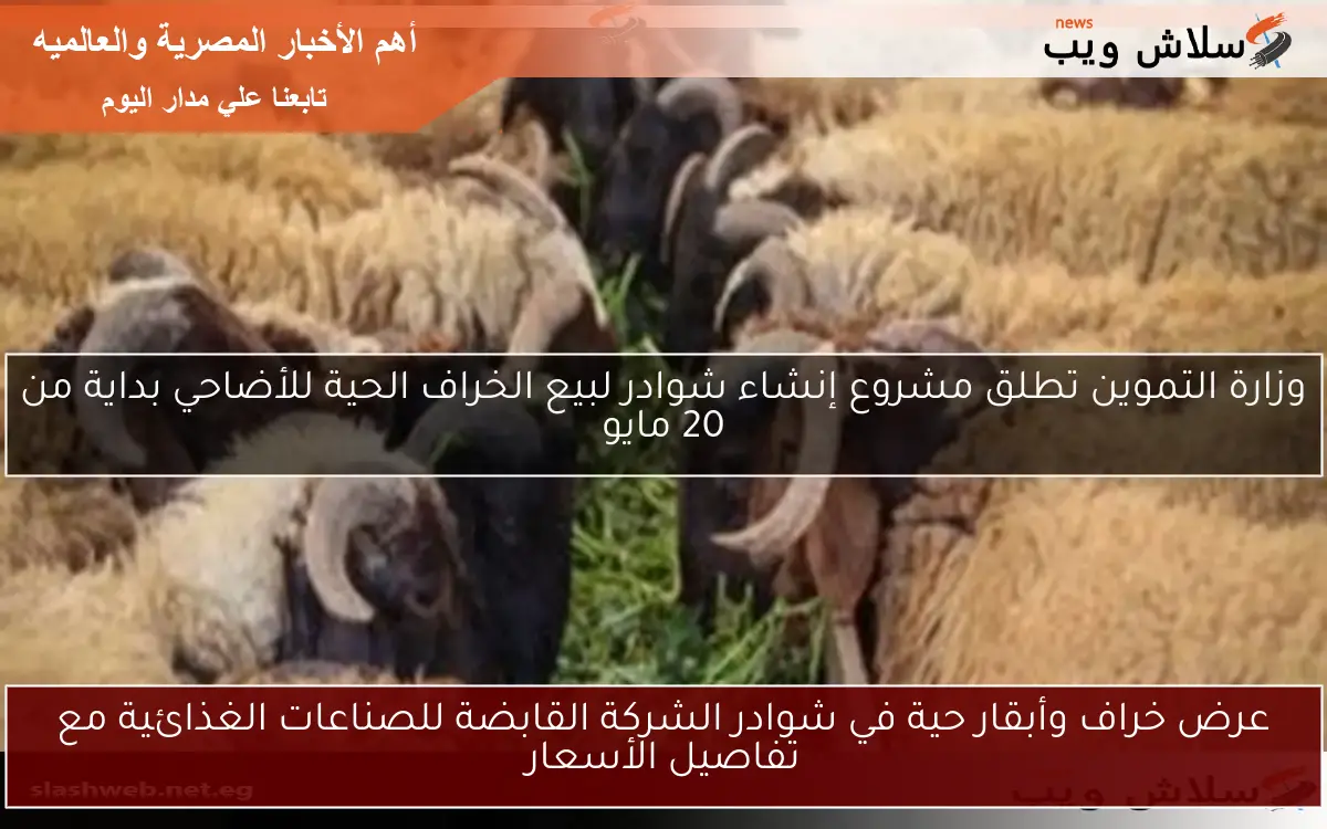 عرض خراف وأبقار حية في شوادر الشركة القابضة للصناعات الغذائية مع تفاصيل الأسعار