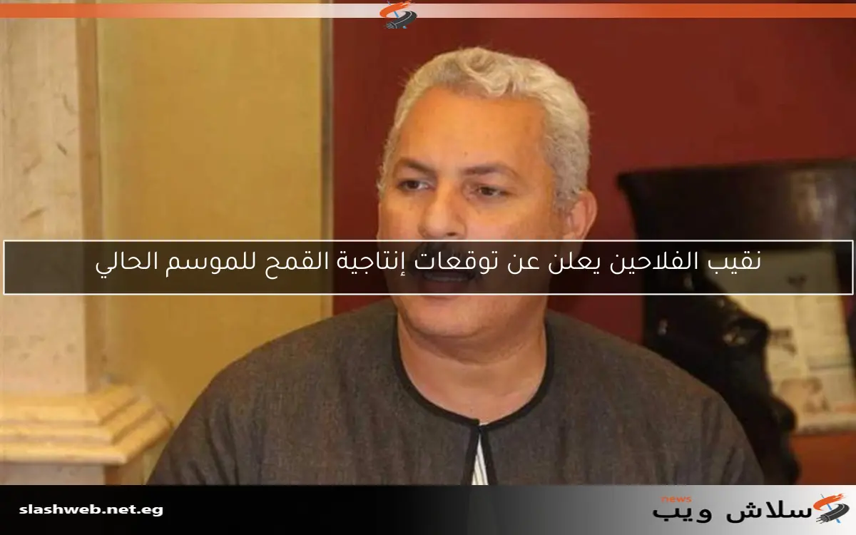 نقيب الفلاحين يعلن عن توقعات إنتاجية القمح للموسم الحالي