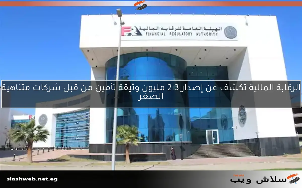 الرقابة المالية تكشف عن إصدار 2.3 مليون وثيقة تأمين من قبل شركات متناهية الصغر