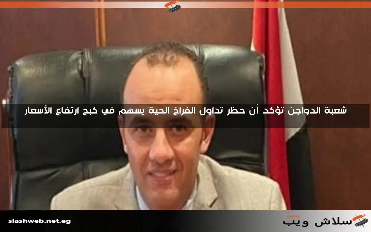 شعبة الدواجن تؤكد أن حظر تداول الفراخ الحية يسهم في كبح ارتفاع الأسعار