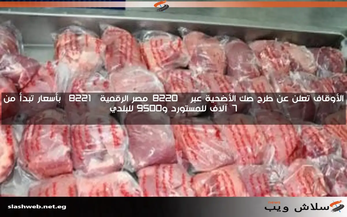 الأوقاف تعلن عن طرح صك الأضحية عبر “مصر الرقمية” بأسعار تبدأ من 7 آلاف للمستورد و9500 للبلدي