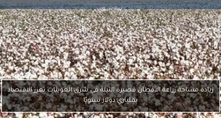 زيادة مساحة زراعة الأقطان قصيرة التيلة في شرق العوينات تعزز الاقتصاد بملياري دولار سنويًا