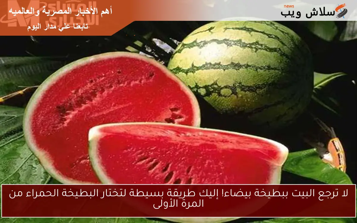 لا ترجع البيت ببطيخة بيضاء! إليك طريقة بسيطة لتختار البطيخة الحمراء من المرة الأولى