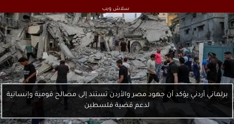 برلماني أردني يؤكد أن جهود مصر والأردن تستند إلى مصالح قومية وإنسانية لدعم قضية فلسطين