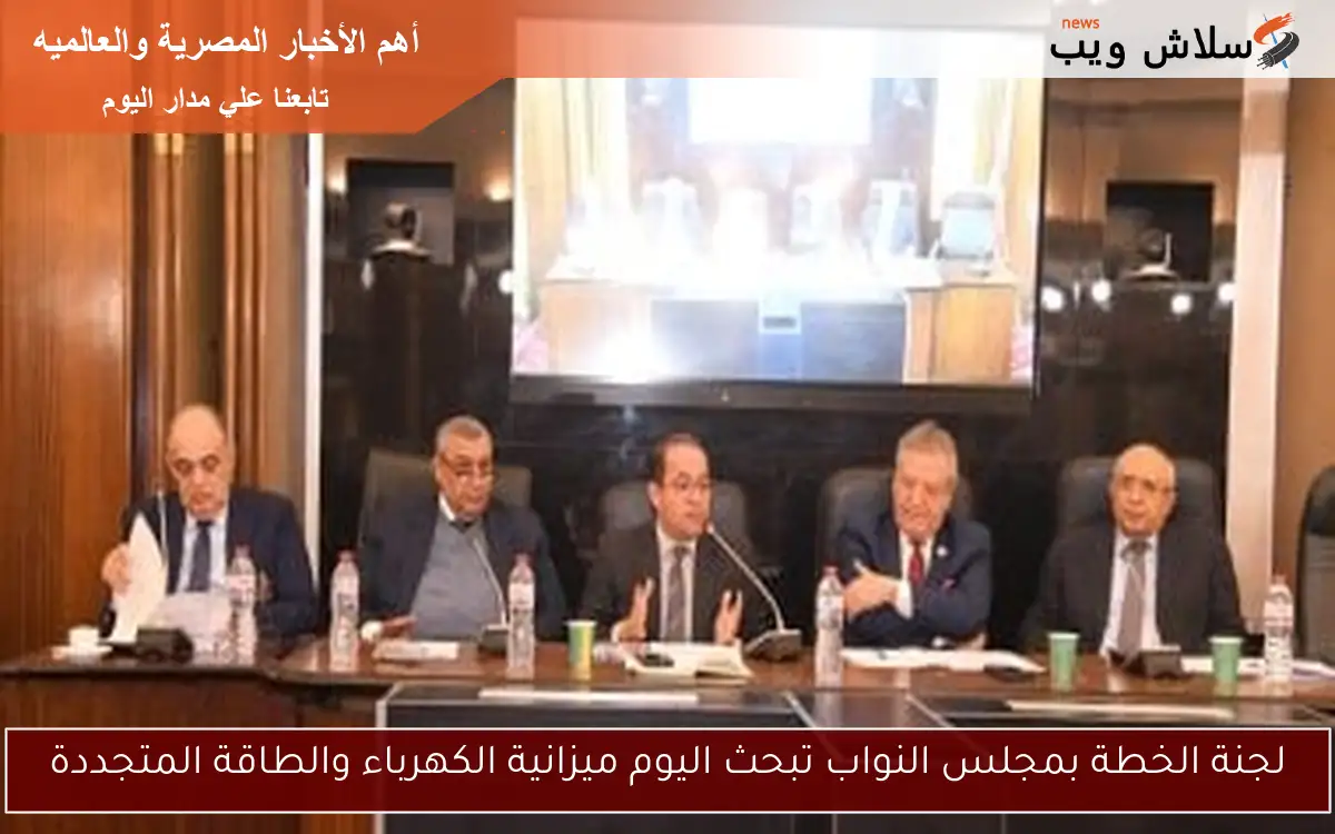 لجنة الخطة بمجلس النواب تبحث اليوم ميزانية الكهرباء والطاقة المتجددة