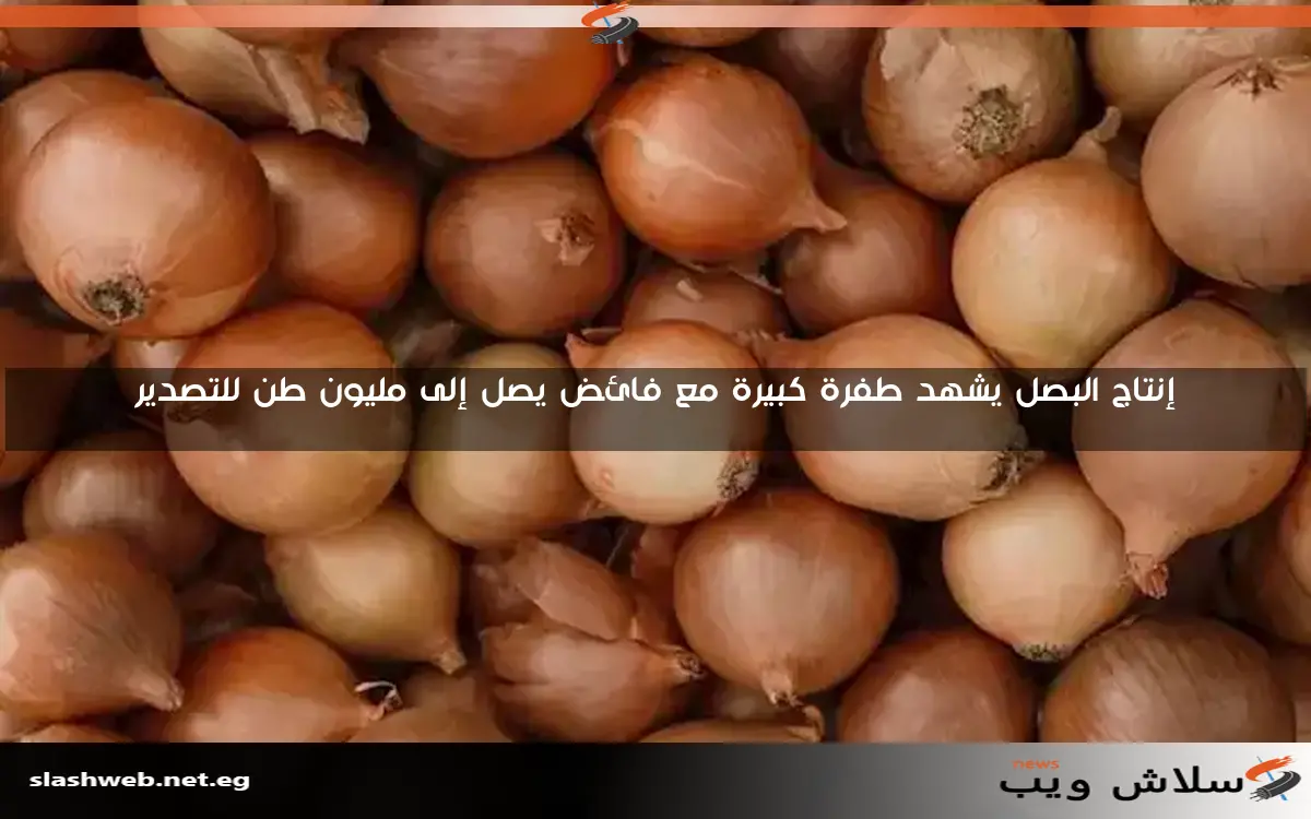 إنتاج البصل يشهد طفرة كبيرة مع فائض يصل إلى مليون طن للتصدير
