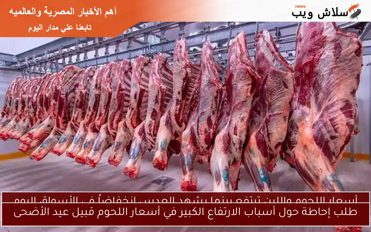 طلب إحاطة حول أسباب الارتفاع الكبير في أسعار اللحوم قبيل عيد الأضحى