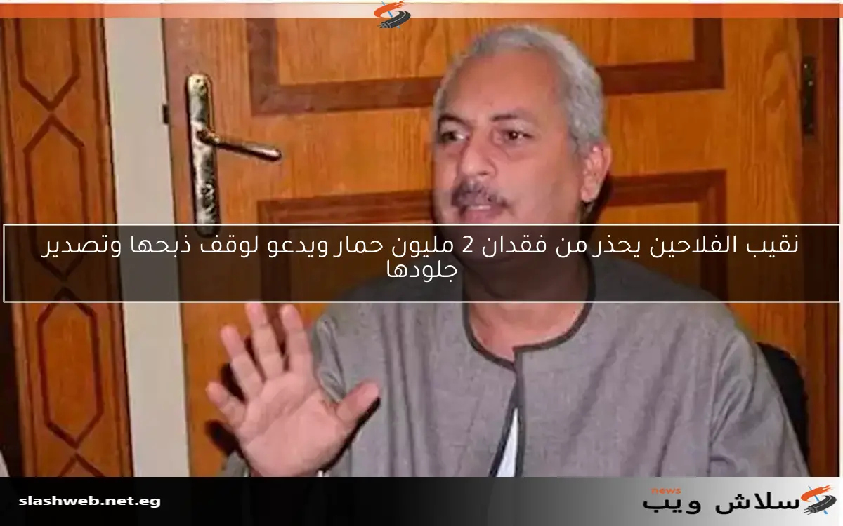نقيب الفلاحين يحذر من فقدان 2 مليون حمار ويدعو لوقف ذبحها وتصدير جلودها