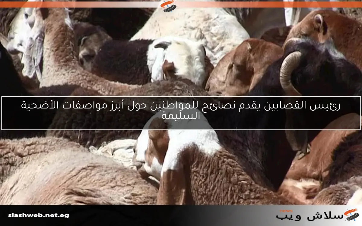 رئيس القصابين يقدم نصائح للمواطنين حول أبرز مواصفات الأضحية السليمة