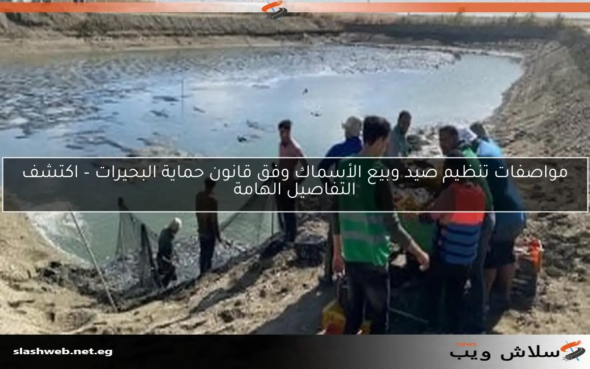 مواصفات تنظيم صيد وبيع الأسماك وفق قانون حماية البحيرات – اكتشف التفاصيل الهامة