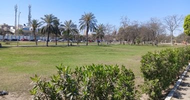 أخبار مصر: توقعات الطقس غداً تشير إلى حرارة معتدلة مع احتمالية هطول أمطار والعظمى في القاهرة تصل إلى 26 درجة