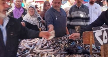 حلقة عزبة البرج.. مركز يومي لتوزيع الأسماك الطازجة من الرابعة فجرًا