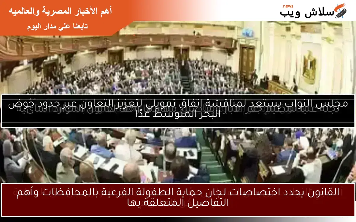 القانون يحدد اختصاصات لجان حماية الطفولة الفرعية بالمحافظات وأهم التفاصيل المتعلقة بها