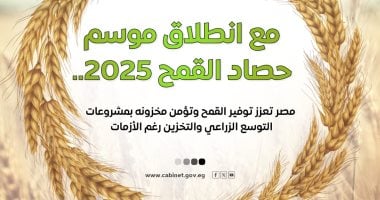 الحكومة تكشف عن جهودها في تعزيز الإنتاج المحلي من القمح وتأمين المخزون عبر الإنفوجراف