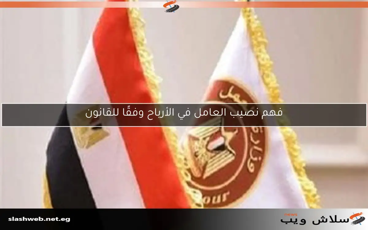 فهم نصيب العامل في الأرباح وفقًا للقانون