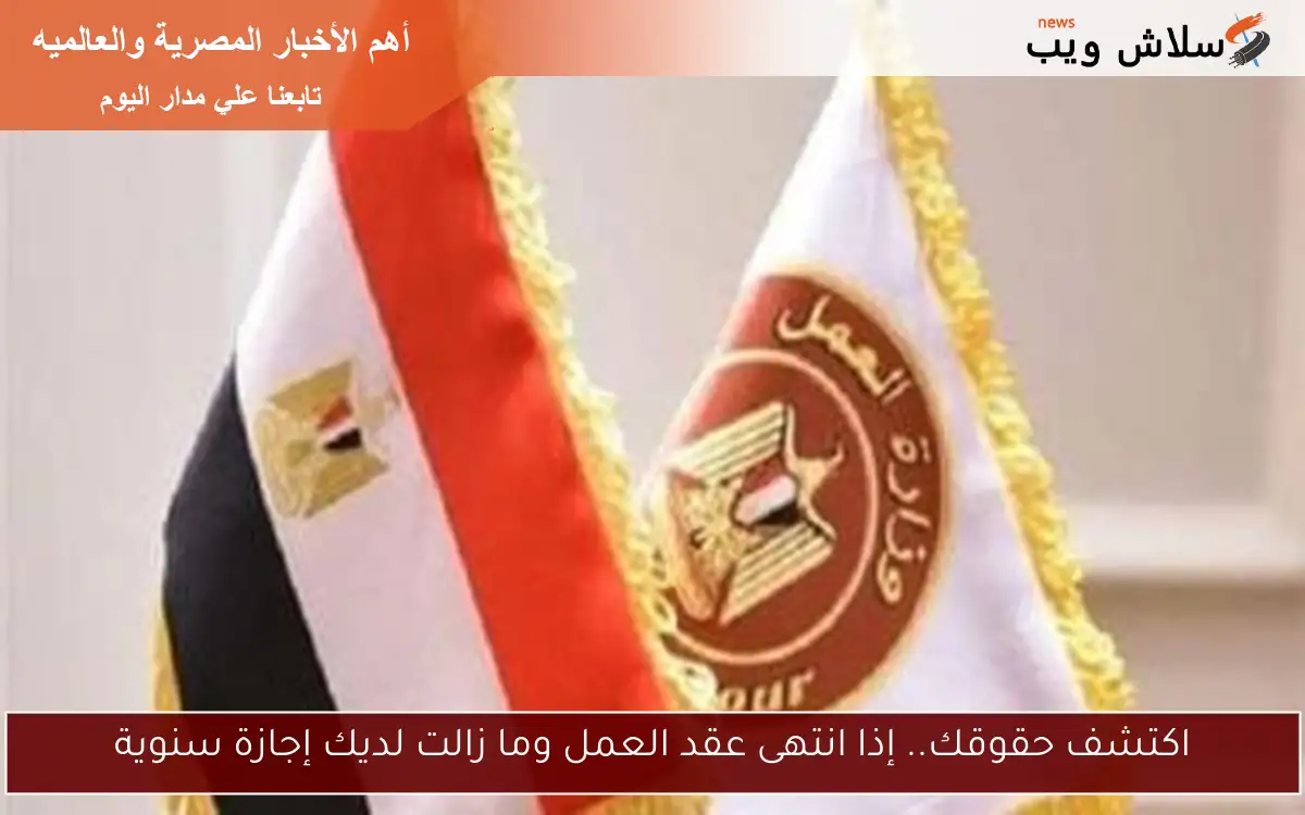 اكتشف حقوقك.. إذا انتهى عقد العمل وما زالت لديك إجازة سنوية