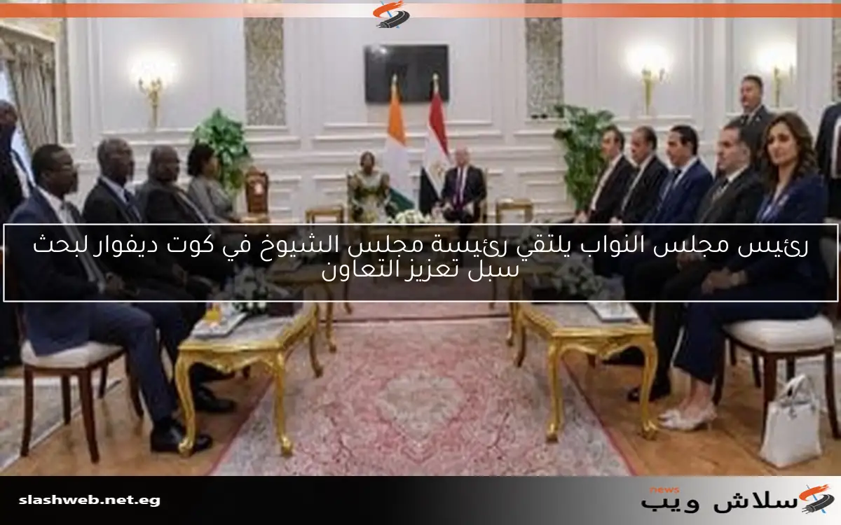 رئيس مجلس النواب يلتقي رئيسة مجلس الشيوخ في كوت ديفوار لبحث سبل تعزيز التعاون