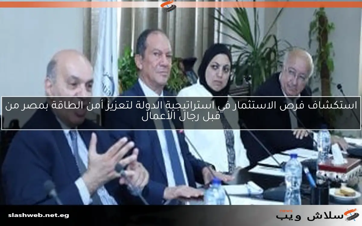 استكشاف فرص الاستثمار في استراتيجية الدولة لتعزيز أمن الطاقة بمصر من قبل رجال الأعمال