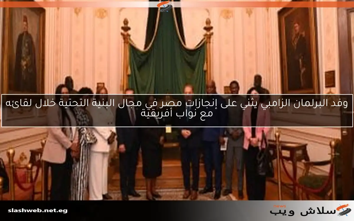 وفد البرلمان الزامبي يثني على إنجازات مصر في مجال البنية التحتية خلال لقائه مع نواب أفريقية