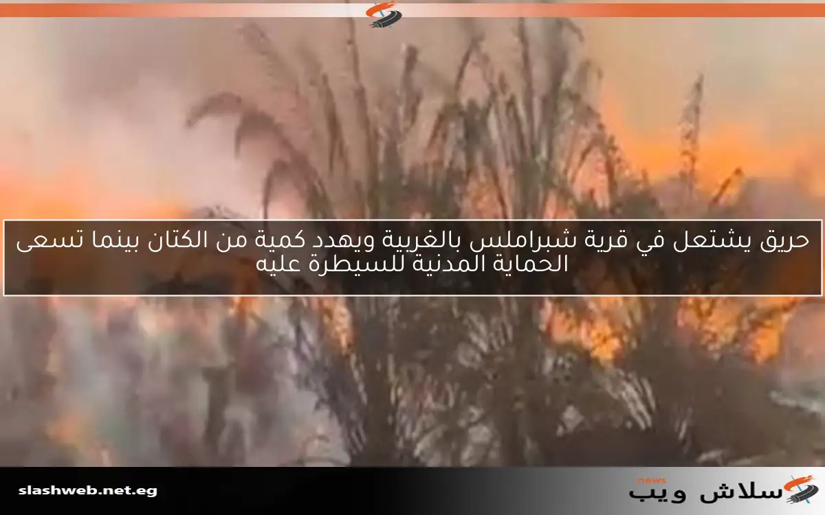 حريق يشتعل في قرية شبراملس بالغربية ويهدد كمية من الكتان بينما تسعى الحماية المدنية للسيطرة عليه