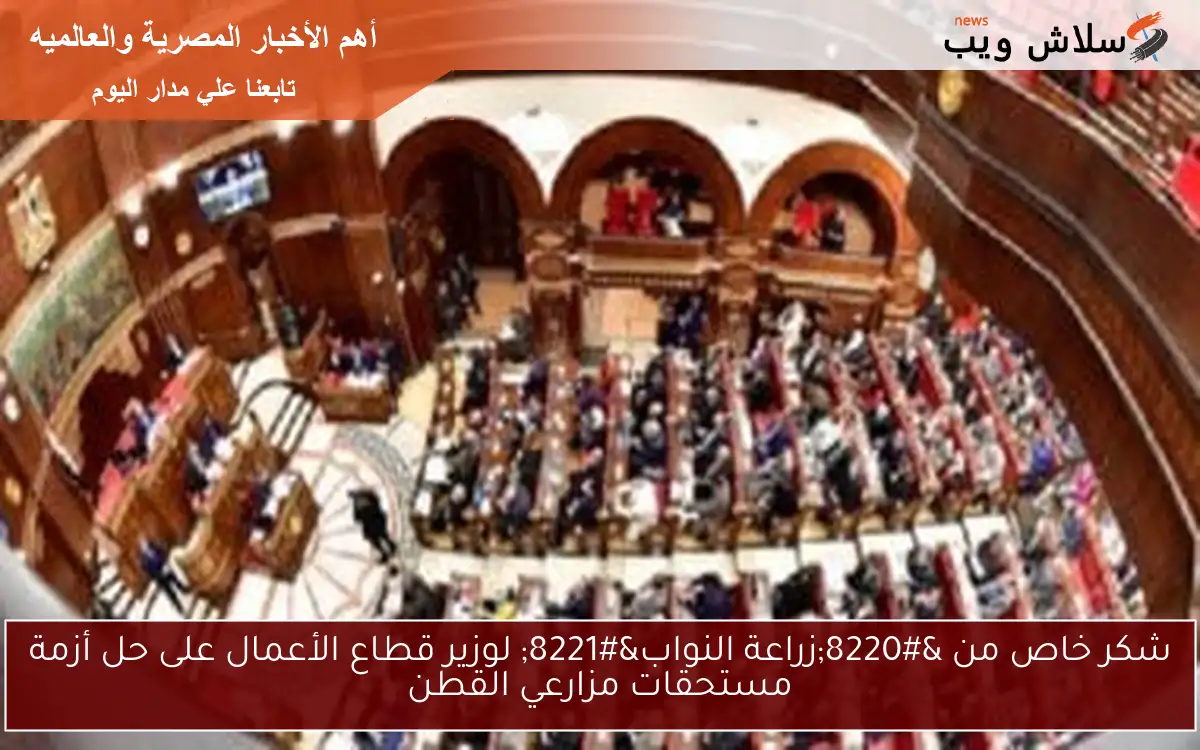 شكر خاص من “زراعة النواب” لوزير قطاع الأعمال على حل أزمة مستحقات مزارعي القطن