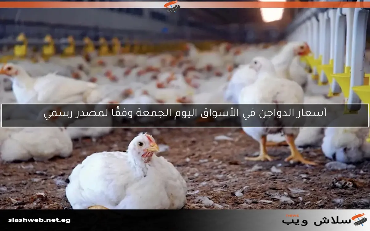 أسعار الدواجن في الأسواق اليوم الجمعة وفقًا لمصدر رسمي