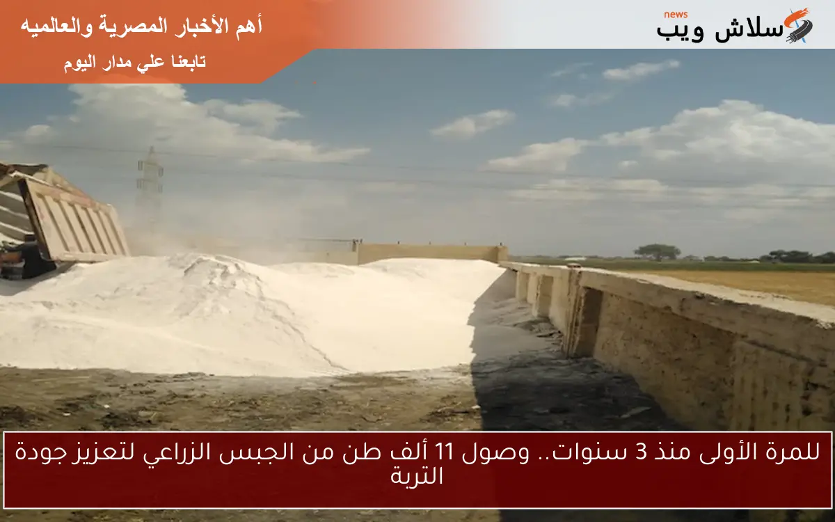 للمرة الأولى منذ 3 سنوات.. وصول 11 ألف طن من الجبس الزراعي لتعزيز جودة التربة