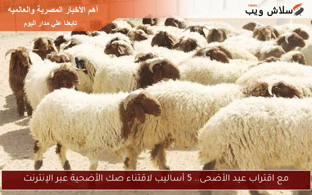 مع اقتراب عيد الأضحى.. 5 أساليب لاقتناء صك الأضحية عبر الإنترنت